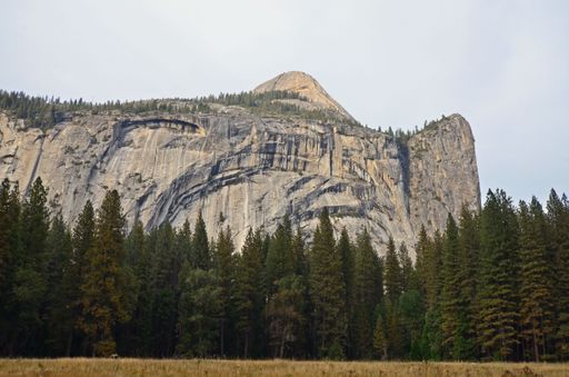 The El Capitan summit with the lush pine forest view in lower Yosemite Valley