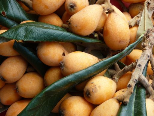 A close up shot of fresh Japanese medlar - healthy lifestyle