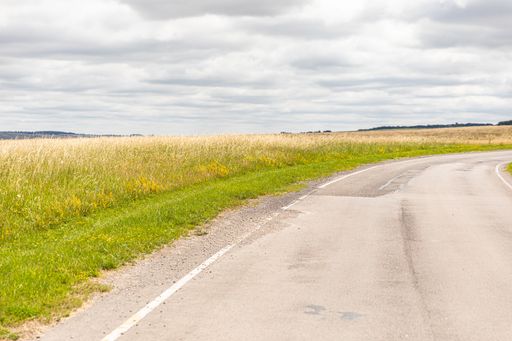 A curvy road surrounded by fields covered in the grass under a cloudy sky