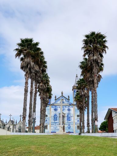 A vertical shot of two rows of palm trees in front of a cathedral