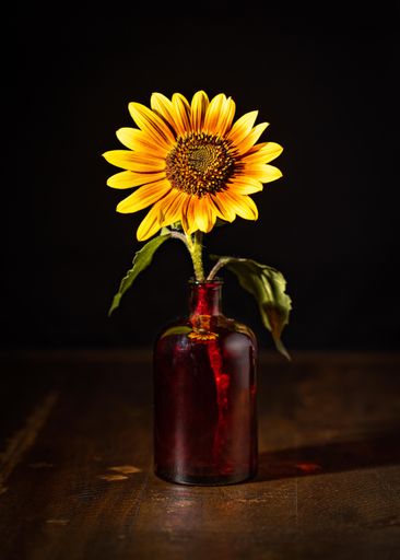 A vertical shot of a sunflower growing in a jar