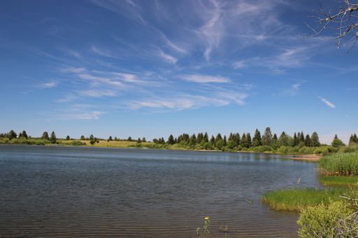 A calm lake surrounded by greenery under a sunny sky in Lac de l'Entonnoir near the Bouverans, France