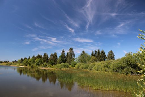 A calm lake surrounded by greenery under a sunny sky in Lac de l'Entonnoir near the Bouverans, France