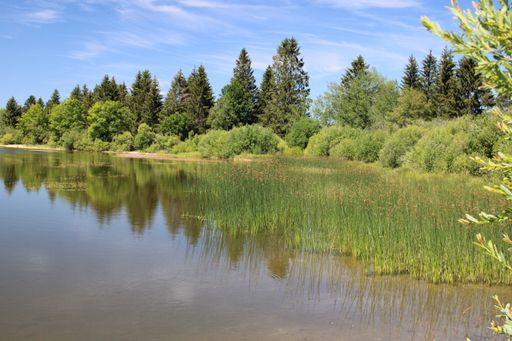 A calm lake surrounded by greenery under a sunny sky in Lac de l'Entonnoir near the Bouverans, France