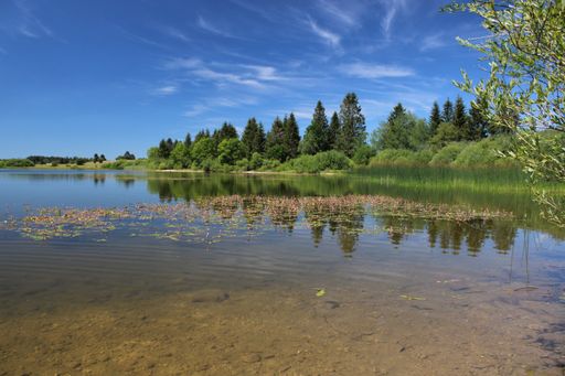 A calm lake surrounded by greenery under a sunny sky in Lac de l'Entonnoir near the Bouverans, France