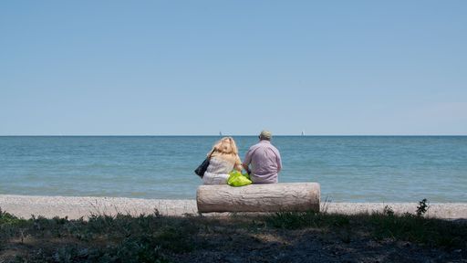 An adult couple sitting on a wooden log at a sandy beach on a sunny day