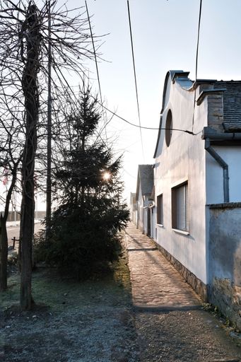 A vertical shot of a narrow sidewalk next to the houses