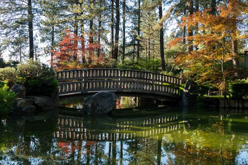 A beautiful shot of a bridge across a swap with tall trees background