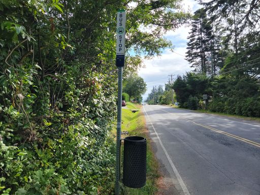 A bus stop on a road in summer