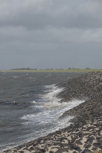 A vertical shot of a sea shore under a cloudy grey sky.