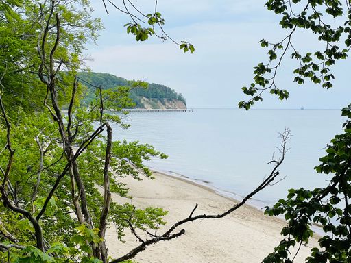 A tranquil view of a sandy beach of the Baltic Sea on a sunny day in Orlowo, Kolibki, Gdynia, Poland
