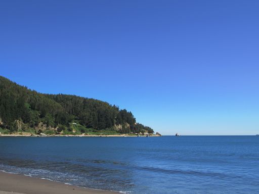 A sandy beach on green forest background under clear sky