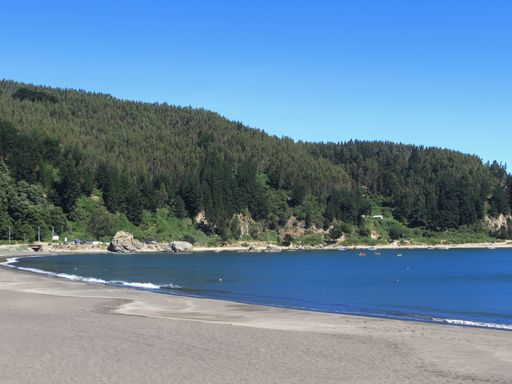 A sandy beach on green forest background under clear sky