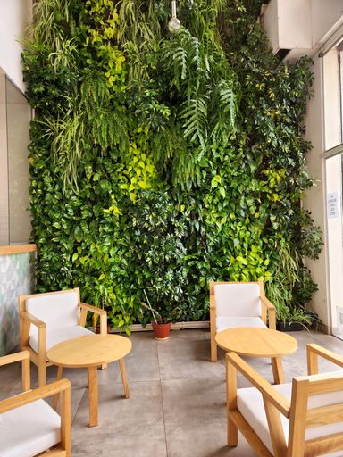 A vertical shot of green plant walls in the interior