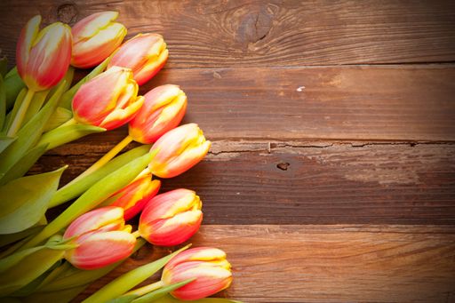 A high angle shot of yellow-pink tulip flowers on a wooden surface - empty space for text