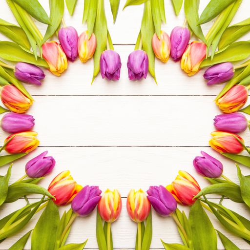 A top view of colorful fresh tulips creating a heart shape on a white wooden surface