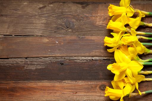 A high angle shot of yellow flowers on the side of a wooden surface - empty space for text