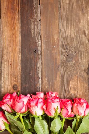 A vertical shot of a wooden background with beautiful pink roses at the bottom