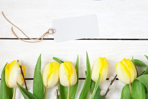 A closeup shot of white and yellow tulips with a tag on a wooden surface with a copy space