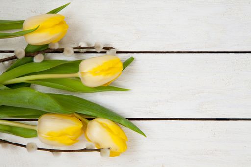 A closeup shot of white and yellow tulips on a wooden surface with a copy space