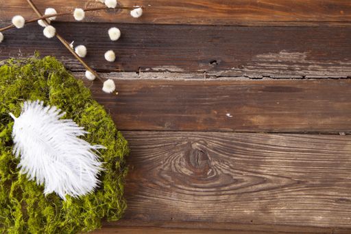 A closeup shot of a wooden surface with a moss decor and kitten willow flowers - copy space