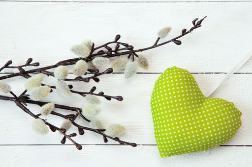A top view of fuzzy willow branches and a small heart-shaped green plush on a white wooden background