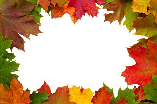A frame of colorful maple leaves with a blank white space in the center