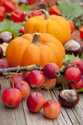A vertical shot of pumpkins and fresh plums on a wooden surface