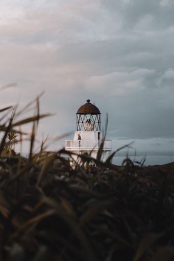A vertical shot of Manukau Heads Lighthouse behind blurry grasses in New Zealand
