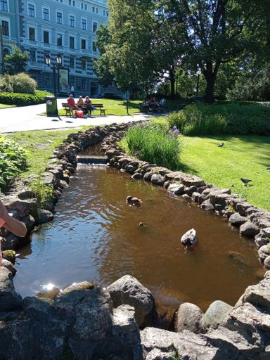 A vertical shot of a lake with ducks surrounded by rocks in a park on a sunny day