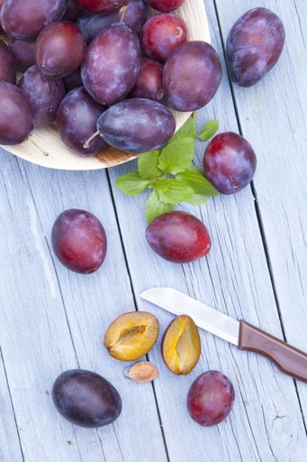 A vertical top view of fresh juicy plums and a knife on a gray wooden table