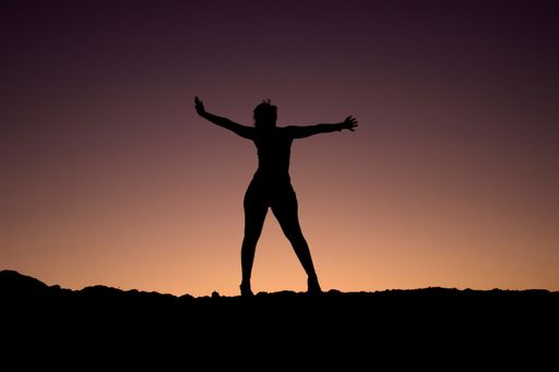 A silhouette of a person posing on a field at sunset