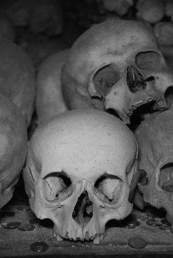 A vertical shot of skulls in the Sedlec Ossuary in Kutna Hora, Czech Republic