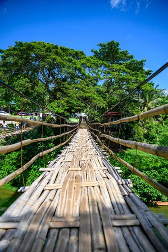 A vertical shot of a bamboo bridge surrounded by a river and vegetation in the Philippines