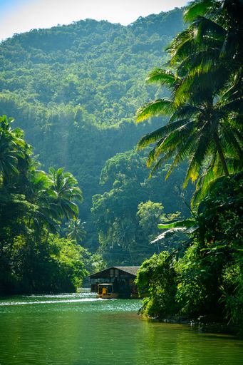 A vertical shot of a wooden house on the water surrounded by dense vegetation and rainforest in the Phillippines