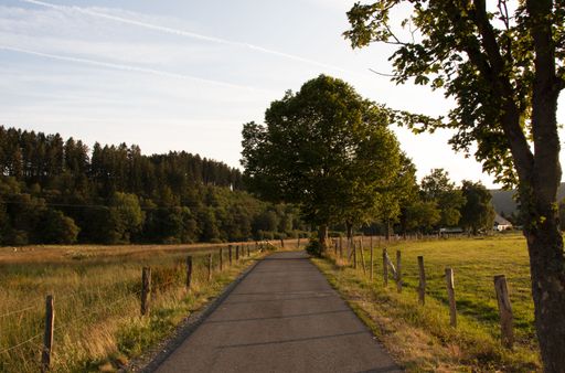 A beautiful scenery of a countryside road surrounded by trees and fields during golden hour in Germany