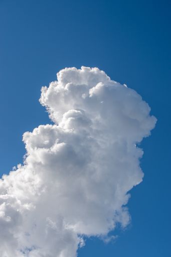 A low angle vertical shot of a cloud named cumulus clouds