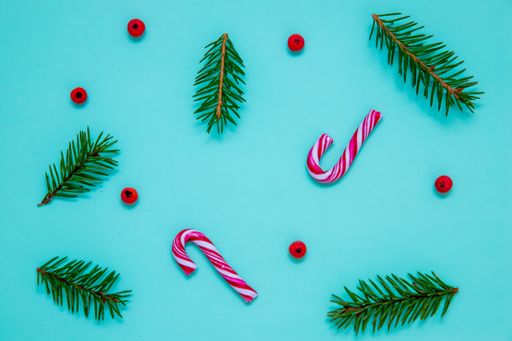 A flat lay shot of fir branches, candy canes and Christmas berries on a blue surface