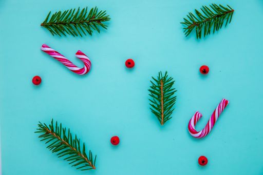 A flat lay shot of fir branches, candy canes and Christmas berries on a blue surface