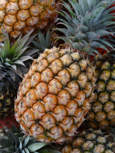 A closeup vertical shot of pineapples bunch