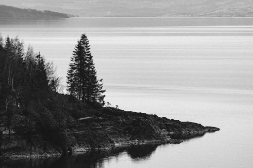 A beautiful shot of pine trees on the shore at Lake Mjosa, Oppland, Norway.