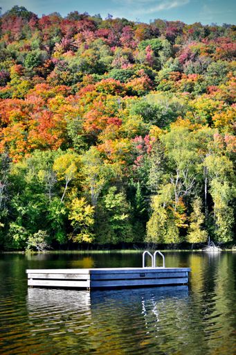 The vertical view of the colorful trees by the lake with a dock on a sunny autumn day