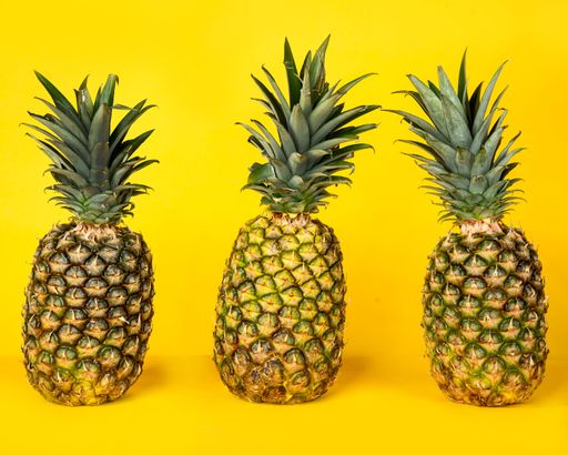 A closeup of three pineapples isolated on a yellow background