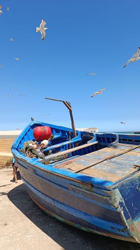 A vertical shot of an old wooden blue boat under a blue sky with seagulls