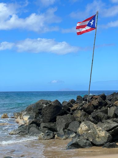 The flag of Puerto Rico in the stones on a sandy beach by the ocean against a cloudy sky