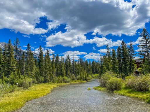 A scenic view of the Bow river flowng though spruce forests in Banff national park, Alberta