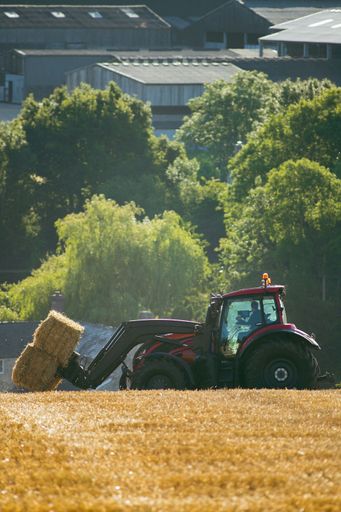 A tractor collecting bales of hay in a field with green trees and buildings on a background