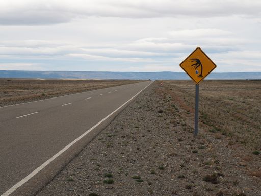 A closeup shot of 'windy' signage on the side of a road in the middle of a deserted field