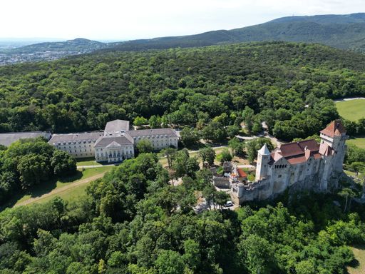 An aerial shot of a castle in Lichtenstein, Austria surrounded by thick vegetation