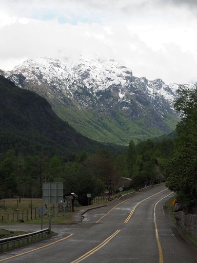 A vertical shot of a road and tree-covered mountains with snowy peaks